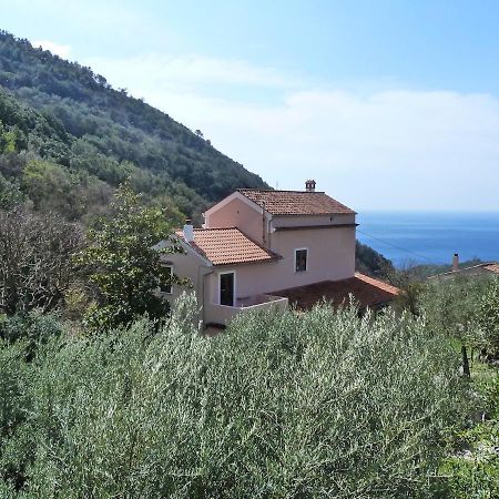 Casa Puccini B&B Маратеа Екстериор снимка