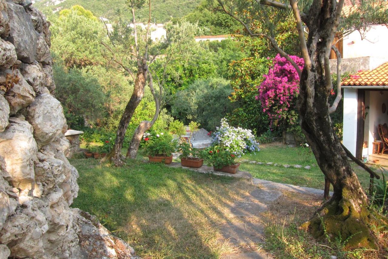 Casa Puccini B&B Маратеа Екстериор снимка