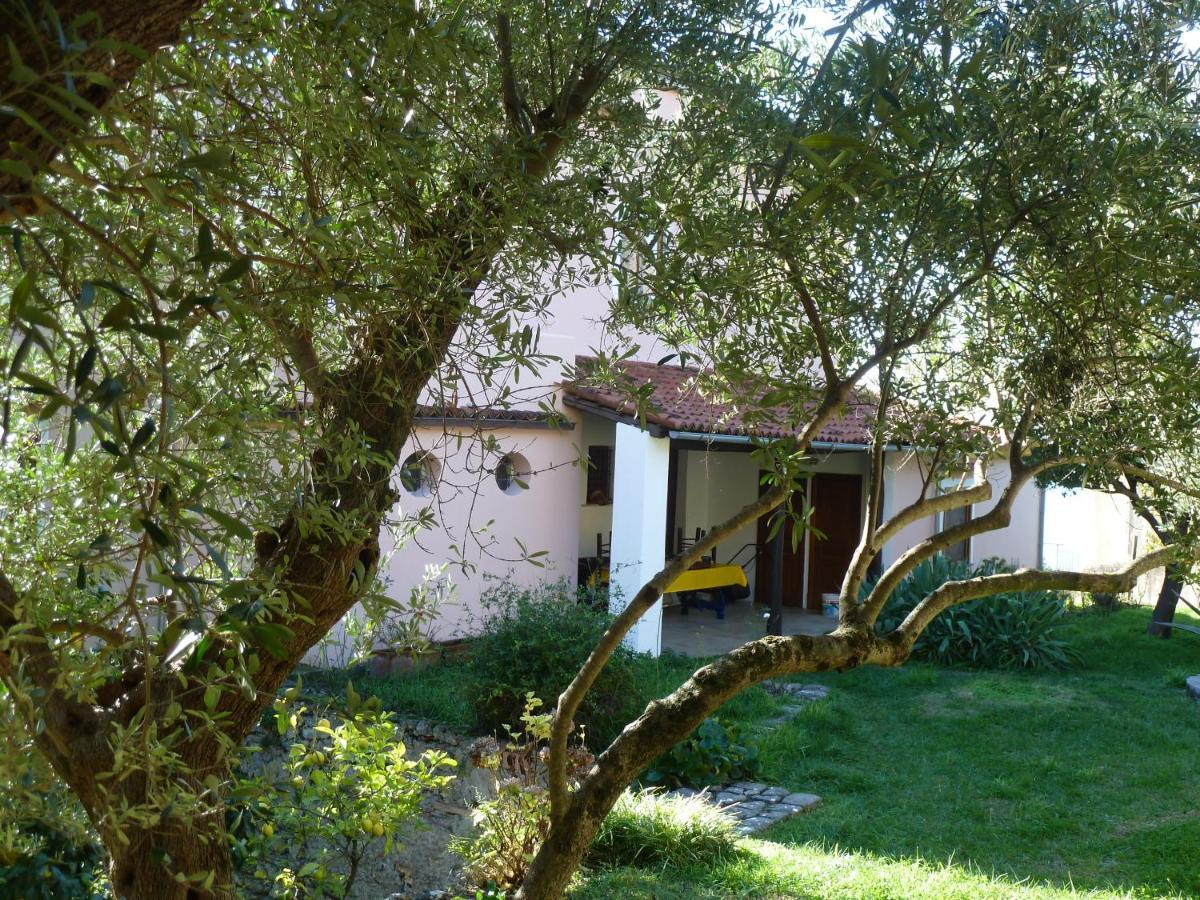 Casa Puccini B&B Маратеа Екстериор снимка