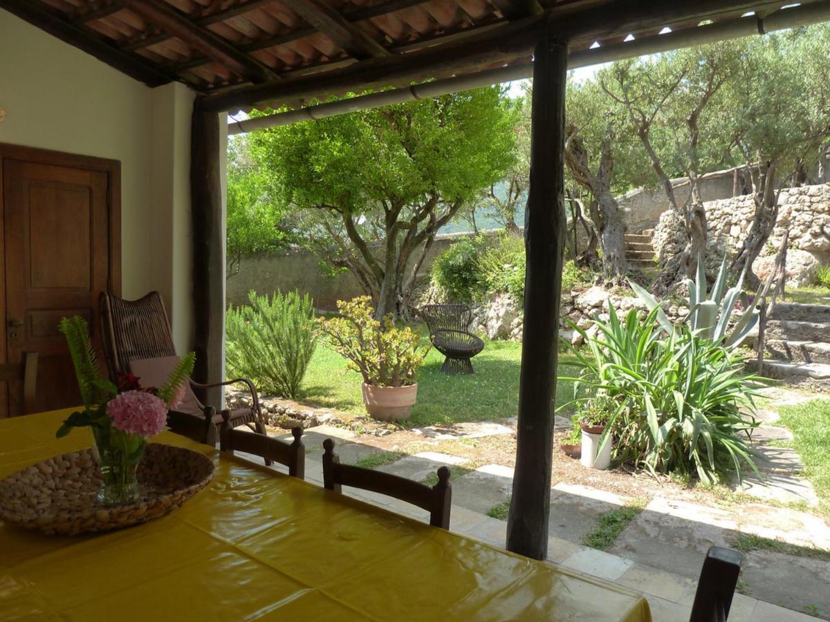 Casa Puccini B&B Маратеа Екстериор снимка